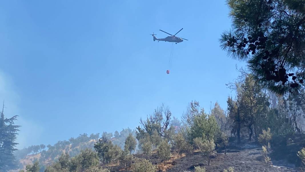 Kahramanmaraş'ta orman yangını 14